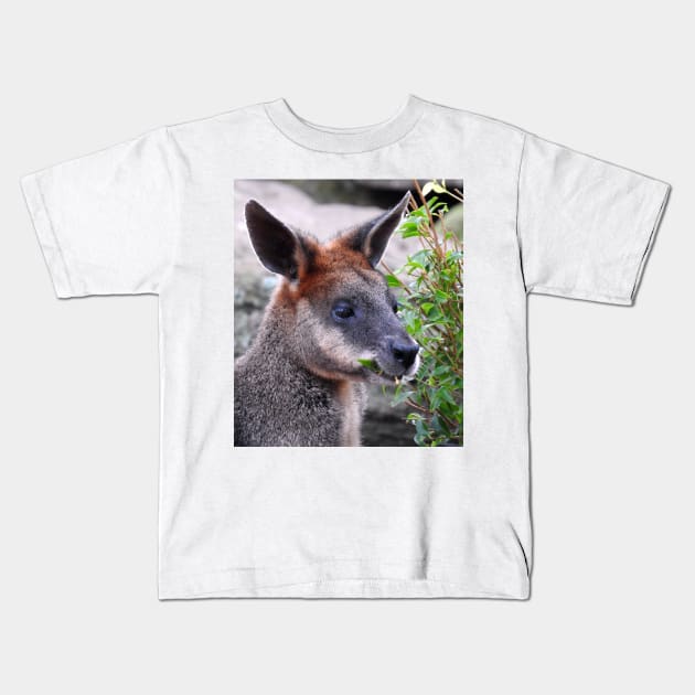 Swamp Wallaby Kids T-Shirt by kirstybush